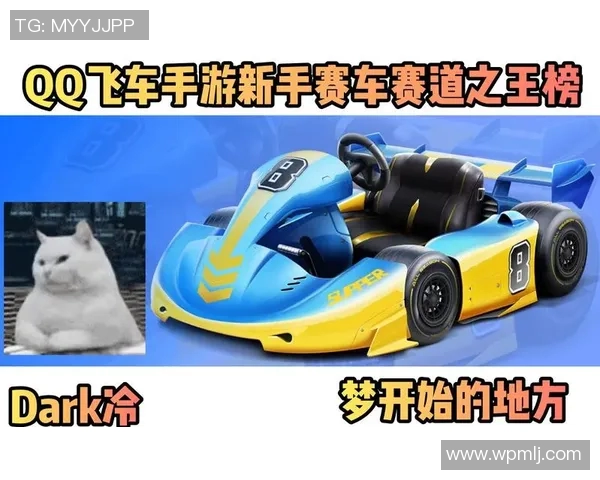 QQ飞车赛车性能调整全面解析助你轻松掌握赛车优势提升游戏体验