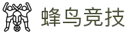 蜂鸟竞技 - 专业电子竞技平台
